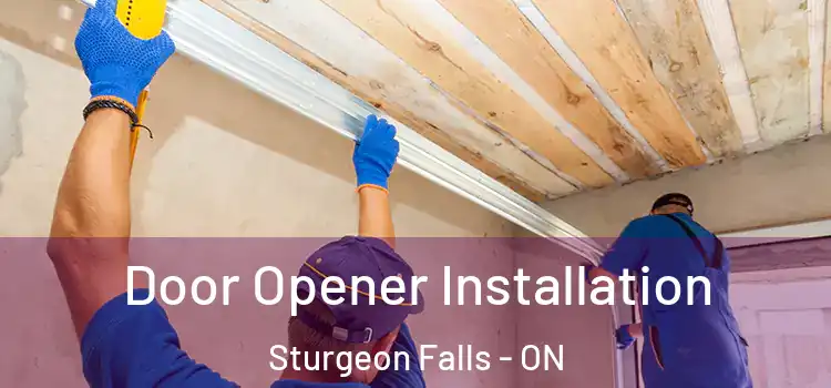  Door Opener Installation Sturgeon Falls - ON