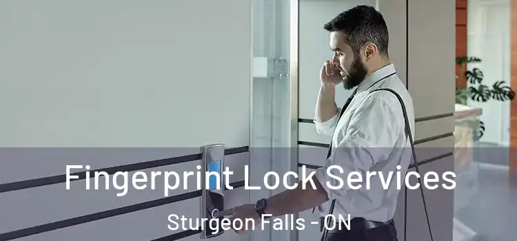 Fingerprint Lock Services Sturgeon Falls - ON