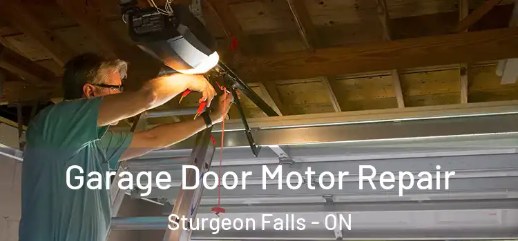  Garage Door Motor Repair Sturgeon Falls - ON