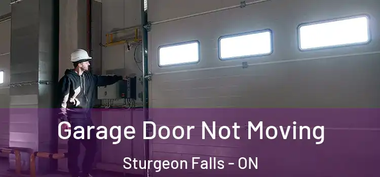  Garage Door Not Moving Sturgeon Falls - ON