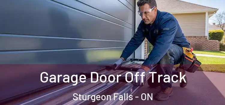  Garage Door Off Track Sturgeon Falls - ON