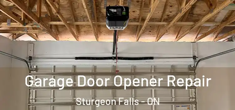  Garage Door Opener Repair Sturgeon Falls - ON