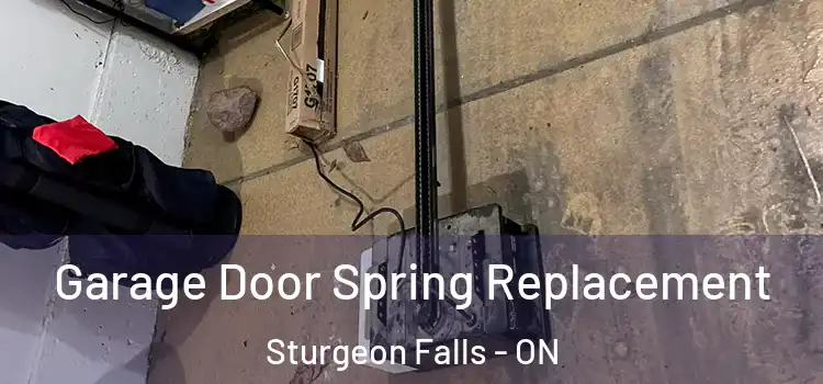  Garage Door Spring Replacement Sturgeon Falls - ON