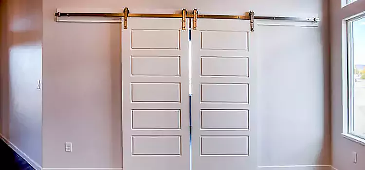 Glass Barn Door with Installation Hardware Kit Sturgeon Falls
