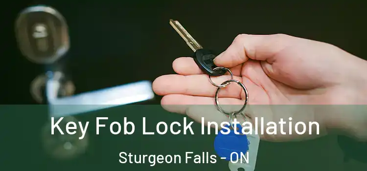  Key Fob Lock Installation Sturgeon Falls - ON