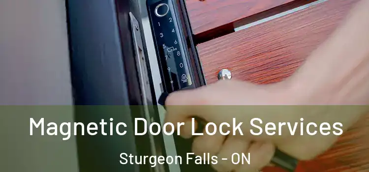Magnetic Door Lock Services Sturgeon Falls - ON