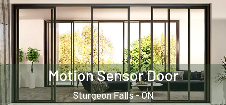 Motion Sensor Door Sturgeon Falls - ON